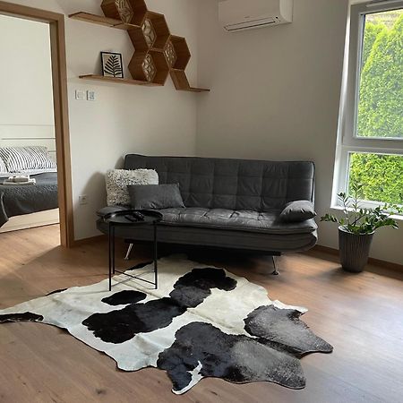Hexagon Apartman Szeged Buitenkant foto